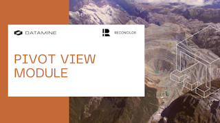 Pivot View