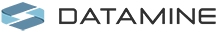 Datamine logo