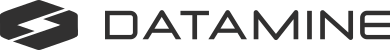 Datamine logo